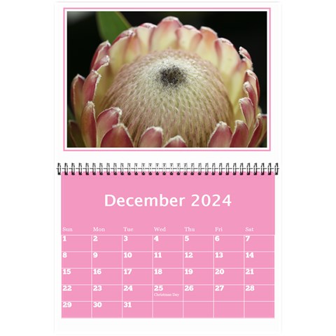 Pink Princess Wall Calendar (any Year) 8 5x6 By Deborah Dec 2024