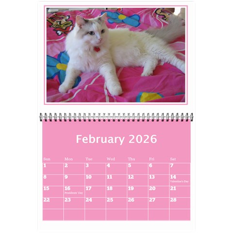 Pink Princess Wall Calendar (any Year) 8 5x6 By Deborah Feb 2024