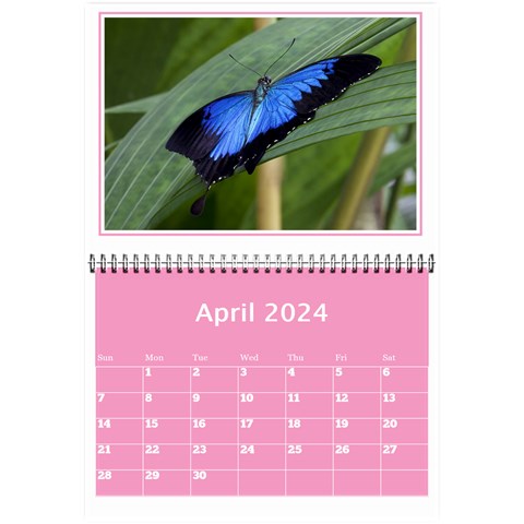 Pink Princess Wall Calendar (any Year) 8 5x6 By Deborah Apr 2024