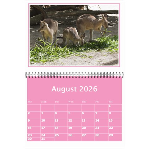 Pink Princess Wall Calendar (any Year) 8 5x6 By Deborah Aug 2026