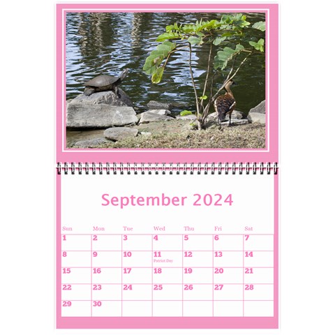 Pink Princess Wall Calendar (any Year) 8 5x6 By Deborah Sep 2024
