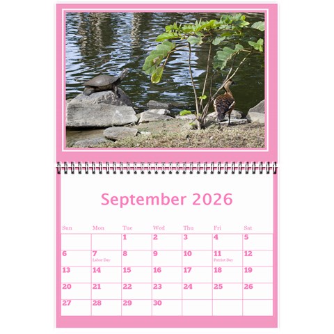 Pink Princess Wall Calendar (any Year) 8 5x6 By Deborah Sep 2026