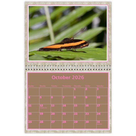 Pink Choc Wall Calendar 11x8 5 By Deborah Oct 2026
