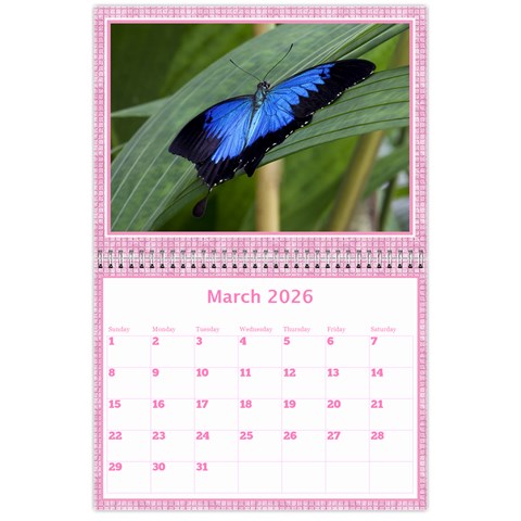 Pink Choc Wall Calendar 11x8 5 By Deborah Mar 2026