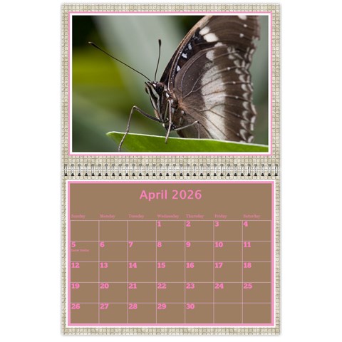 Pink Choc Wall Calendar 11x8 5 By Deborah Apr 2026