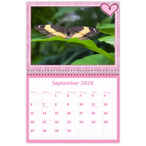 Pink Choc Wall Calendar 11x8 5 By Deborah Sep 2026