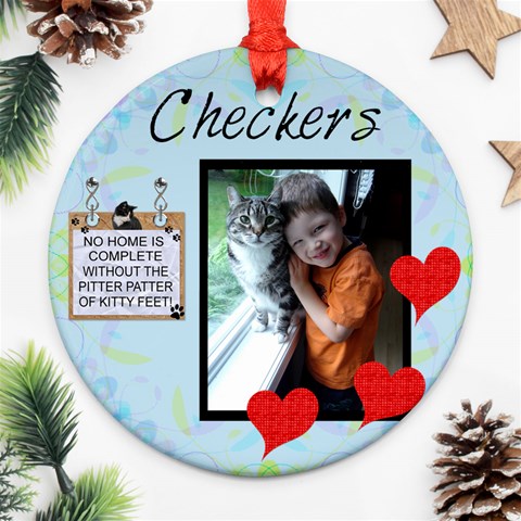 Checkers By Sherry Olford Front