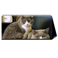 cat 2014 - Desktop Calendar 11  x 5 
