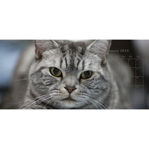 Cat 2014 By Csumkwok Jan 2014