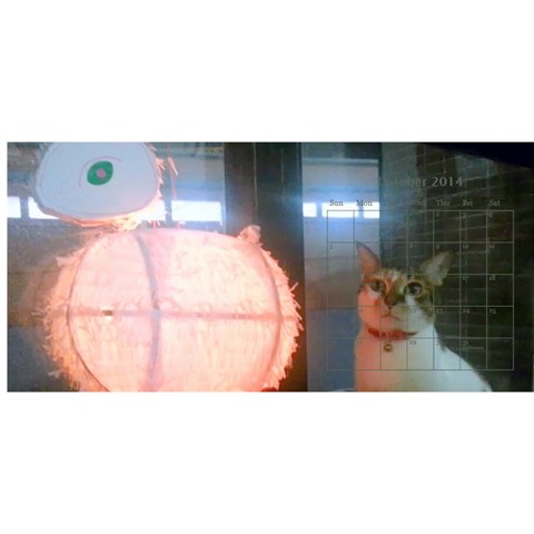 Cat 2014 By Csumkwok Oct 2014