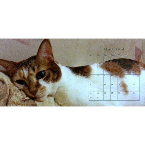 Cat 2014 By Csumkwok Mar 2014