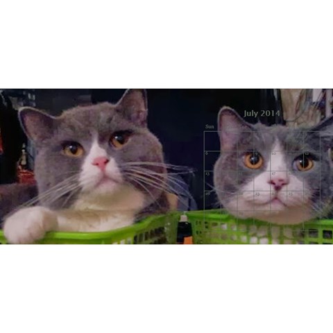 Cat 2014 By Csumkwok Jul 2014