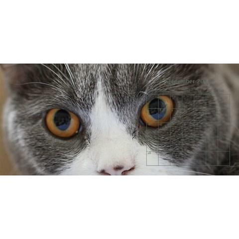 Cat 2014 By Csumkwok Sep 2014
