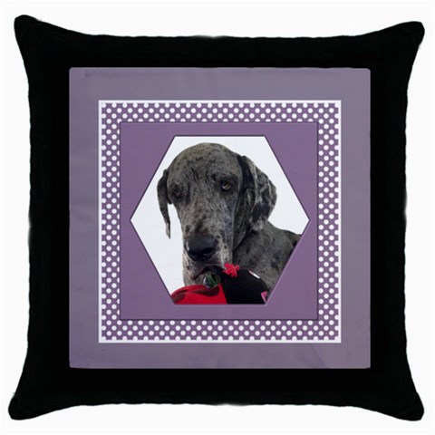 All Framed In Lilac Throw Pillow Casse By Deborah Front