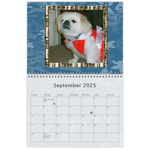 2025 Simply Blue Calendar By Kim Blair Sep 2025