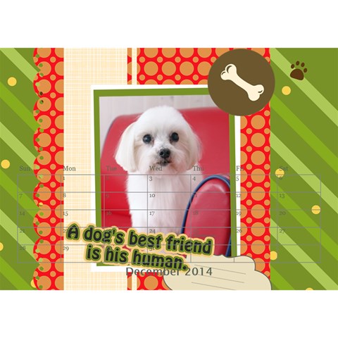 Pet By Pet Dec 2014
