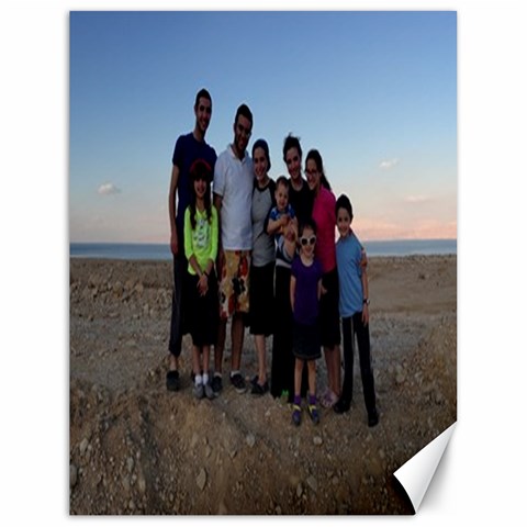 Fam Pic 2 By Tziri 17.8 x23.08  Canvas - 1