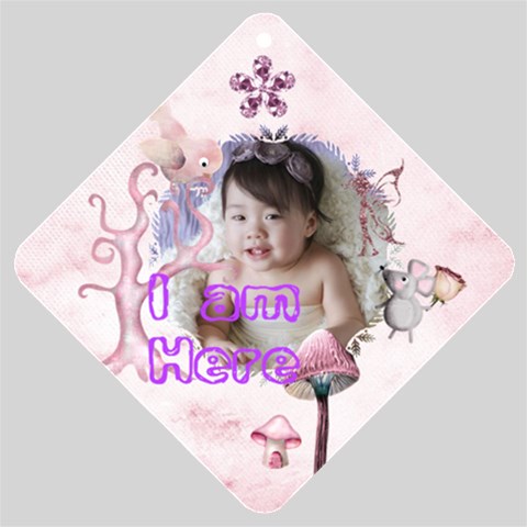 Baby In Car 2 By Hazelyip Yahoo Com Hk Front