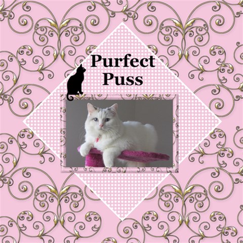 My Puss 12x12 Scrapbook Page By Deborah 12 x12  Scrapbook Page - 1