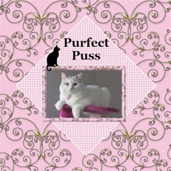My Puss 12x12 Scrapbook Page - ScrapBook Page 12 x 12 My Puss 12x12 Scrapbook Page - ScrapBook Page 12 x 12