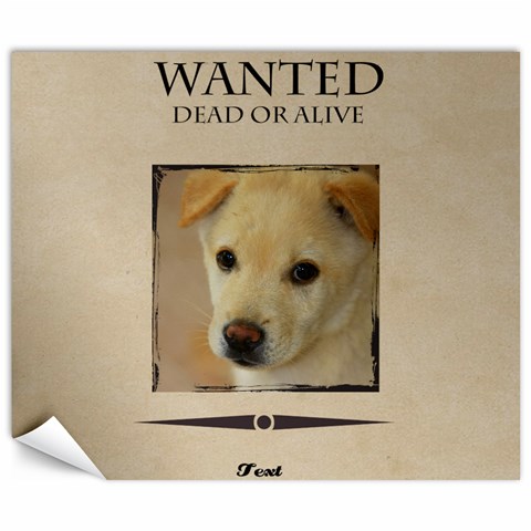 Wanted By Divad Brown 8.15 x9.66  Canvas - 1
