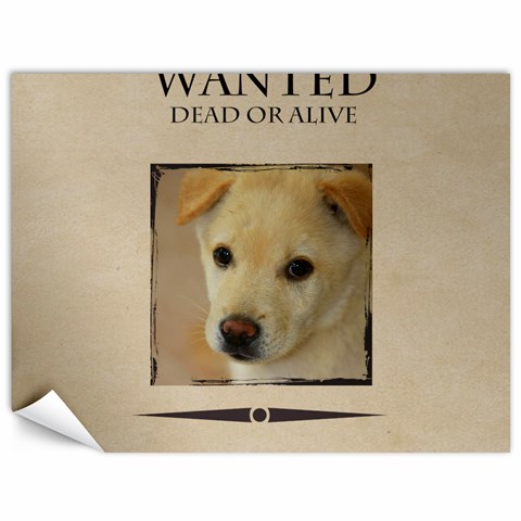 Wanted By Divad Brown 35.26 x46.15  Canvas - 1