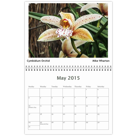 2015 Bvcc Calendar By Rosie May 2015