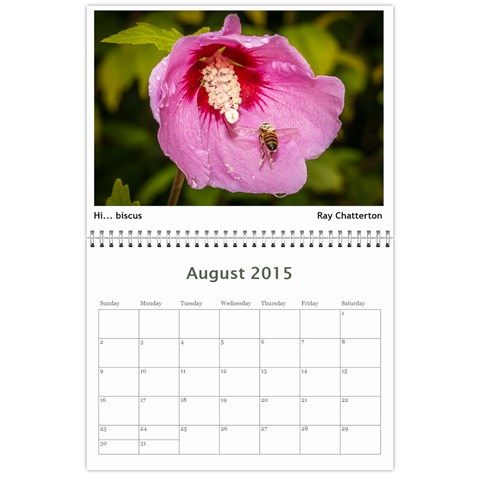 2015 Bvcc Calendar By Rosie Aug 2015