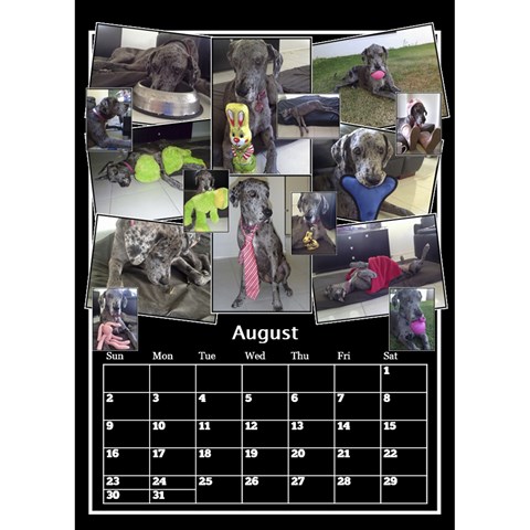 Black And White Mutli Photo Calendar 2026 By Deborah Aug 2026