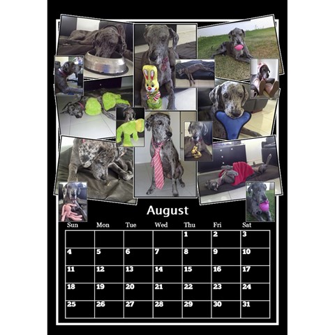 Black And White Mutli Photo Calendar 2024 By Deborah Aug 2024