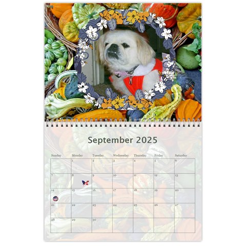 2024 Any Occassion Calendar By Kim Blair Sep 2024