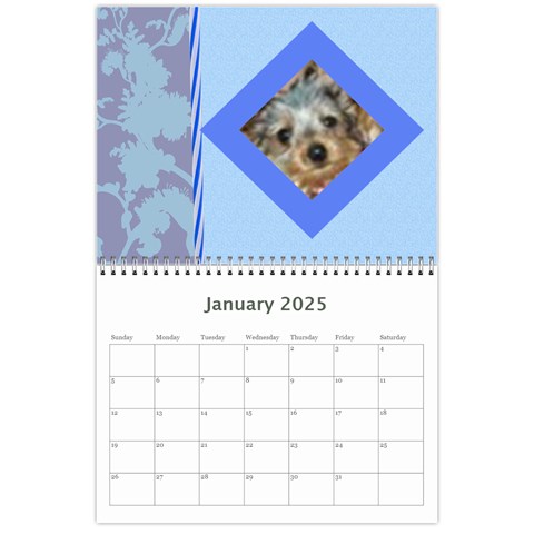 All Occassion Calendar 2025 By Kim Blair Jan 2025