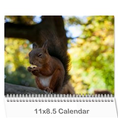 KalendarzSalwach - Wall Calendar 11  x 8.5  (12-Months)