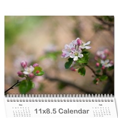 KalendarzMateja - Wall Calendar 11  x 8.5  (12-Months)