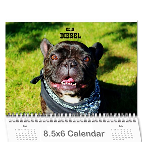 2015 Diesel Calendar By Amanda L  Miller Cover