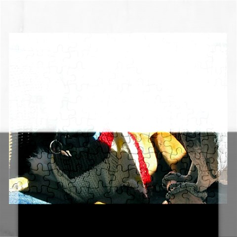 Puzzel By Pamela Sue Goforth Front