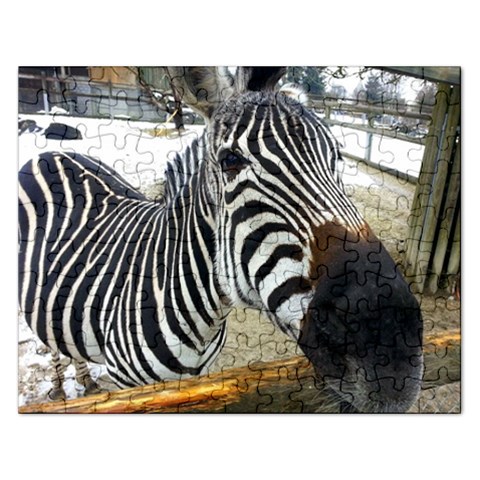 Puzzel  Zebra By Pamela Sue Goforth Front