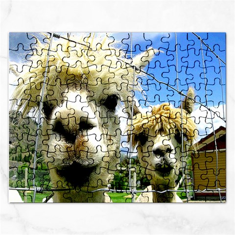 Puzzel By Pamela Sue Goforth Front