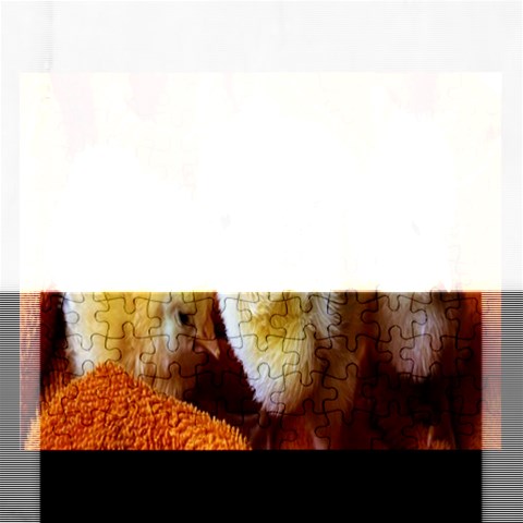 Puzzel By Pamela Sue Goforth Front
