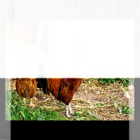 Puzzel By Pamela Sue Goforth Front