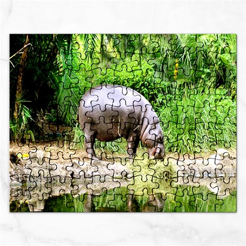 Puzzel By Pamela Sue Goforth Front