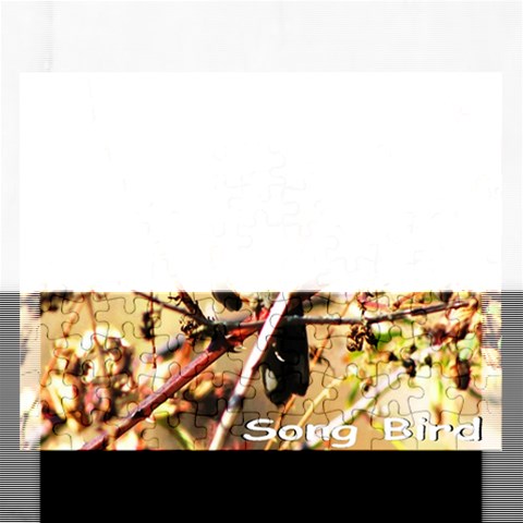 Puzzel By Pamela Sue Goforth Front