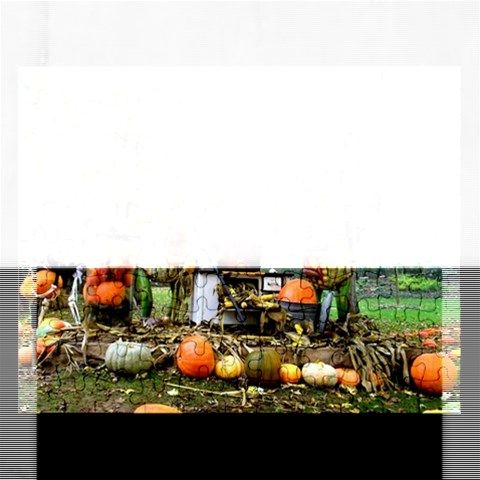 Puzzel By Pamela Sue Goforth Front