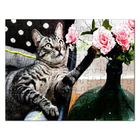 Puzzel By Pamela Sue Goforth Front