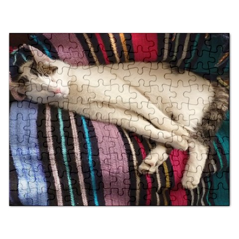 Puzzel By Pamela Sue Goforth Front