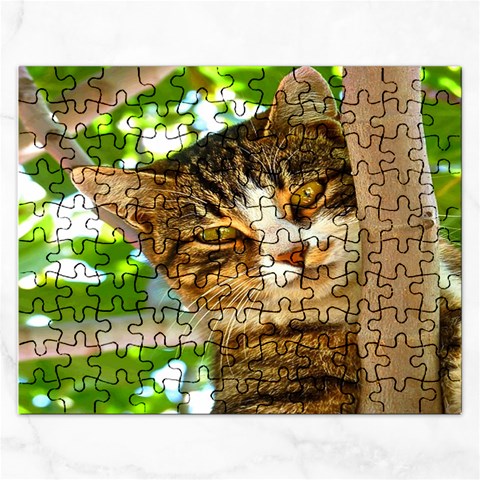 Puzzel By Pamela Sue Goforth Front