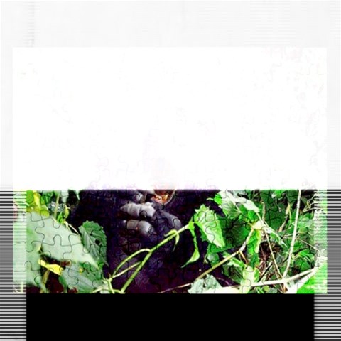 Puzzel By Pamela Sue Goforth Front