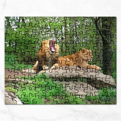 Puzzel By Pamela Sue Goforth Front