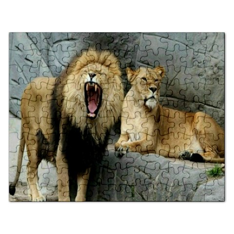 Puzzel By Pamela Sue Goforth Front