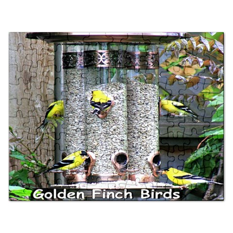 Puzzel By Pamela Sue Goforth Front